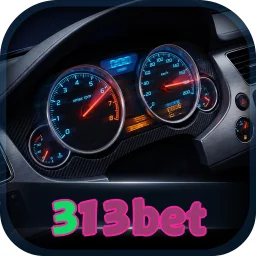 313bet