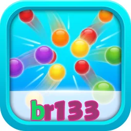 br133